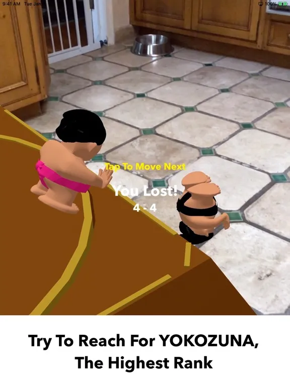 AR Sumo iPad  سکرین شاٹس