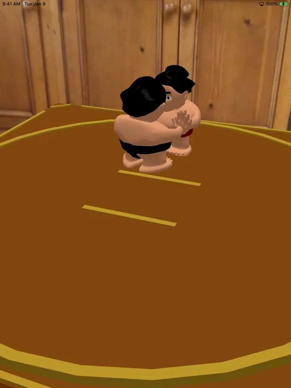 AR Sumo iPad  سکرین شاٹس