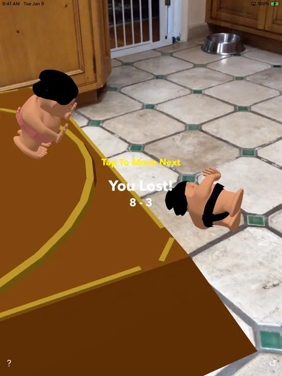 AR Sumo iPad  سکرین شاٹس