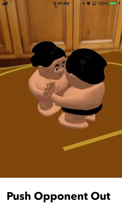 AR Sumo سکرین شاٹس
