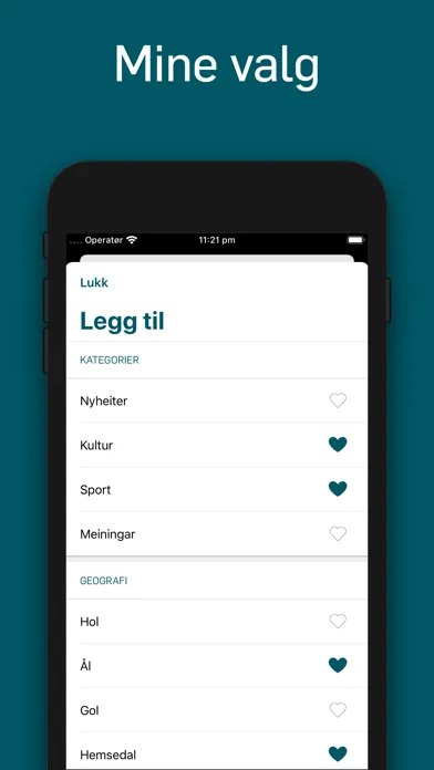 Hallingdølen Ekran Görüntüleri