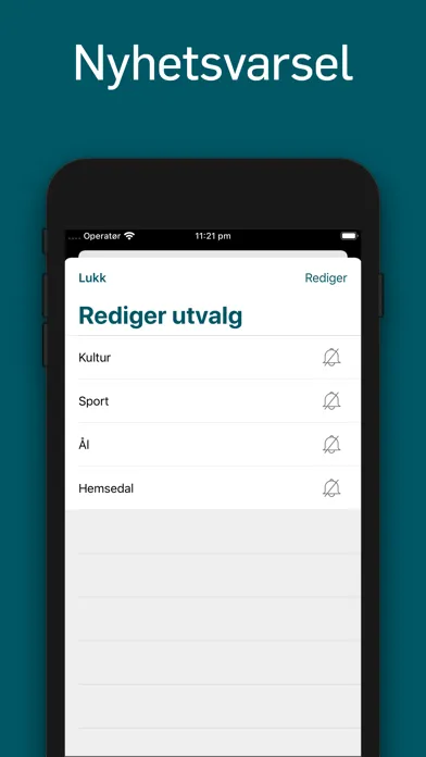Hallingdølen Ekran Görüntüleri