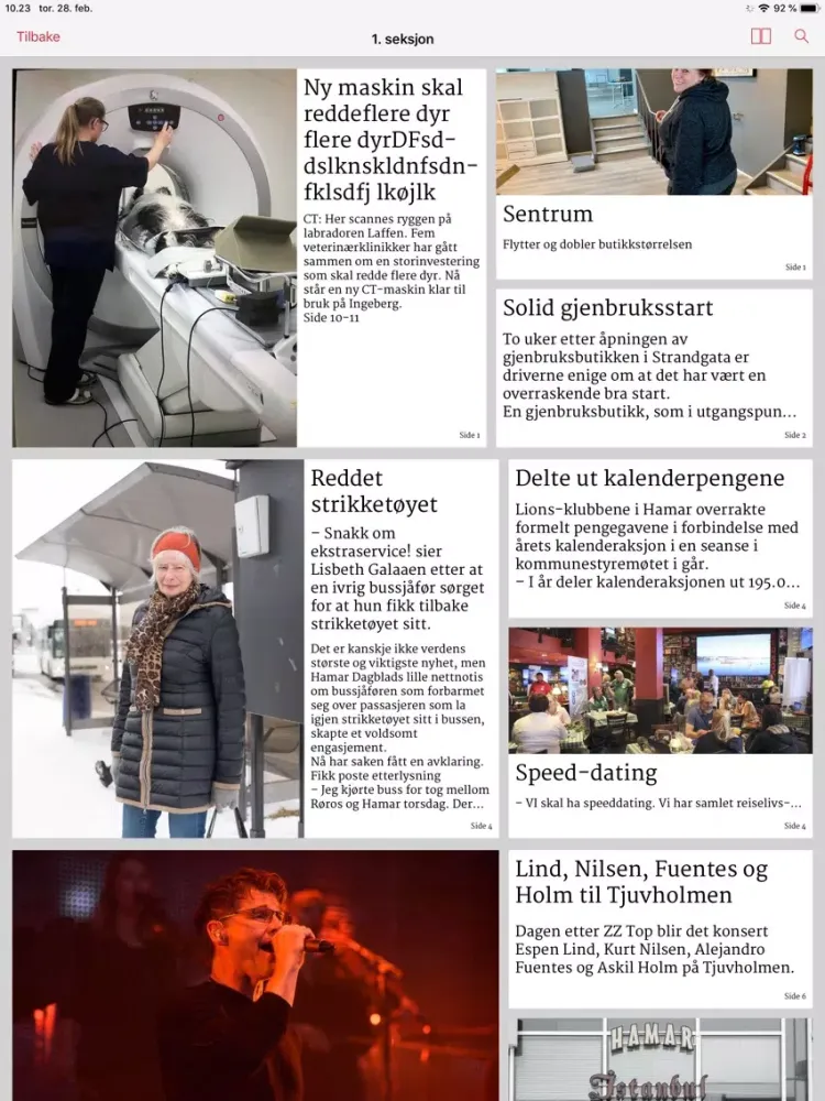 Hamar Dagblad eAvis iPad  スクリーンショット
