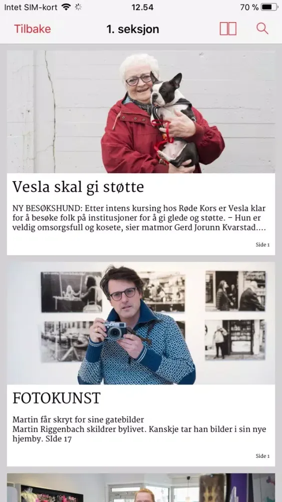 Hamar Dagblad eAvis スクリーンショット