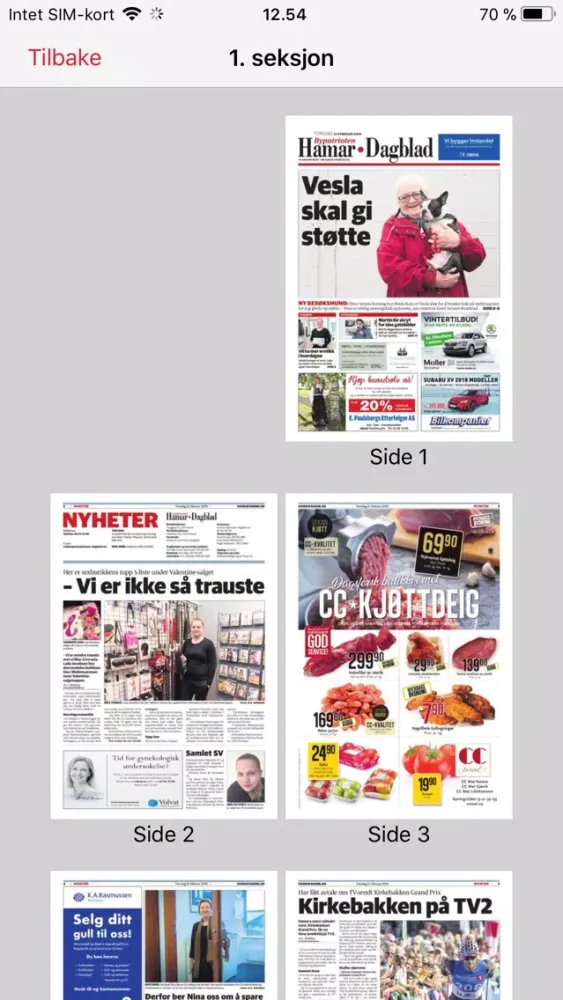 Hamar Dagblad eAvis スクリーンショット