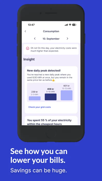 Скриншоты Elekt - Your Energy Watchdog