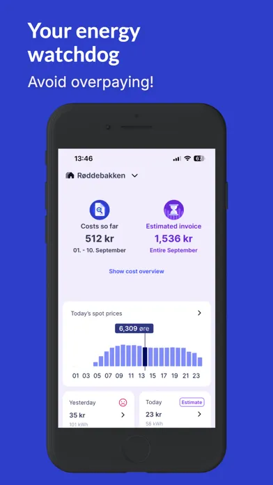 Скриншоты Elekt - Your Energy Watchdog
