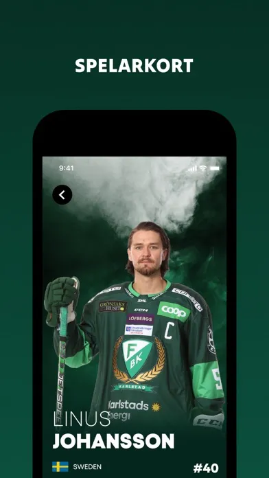صور Färjestad BK