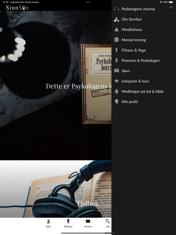 ภาพหน้าจอของ SinnSyn Bedrift iPad 