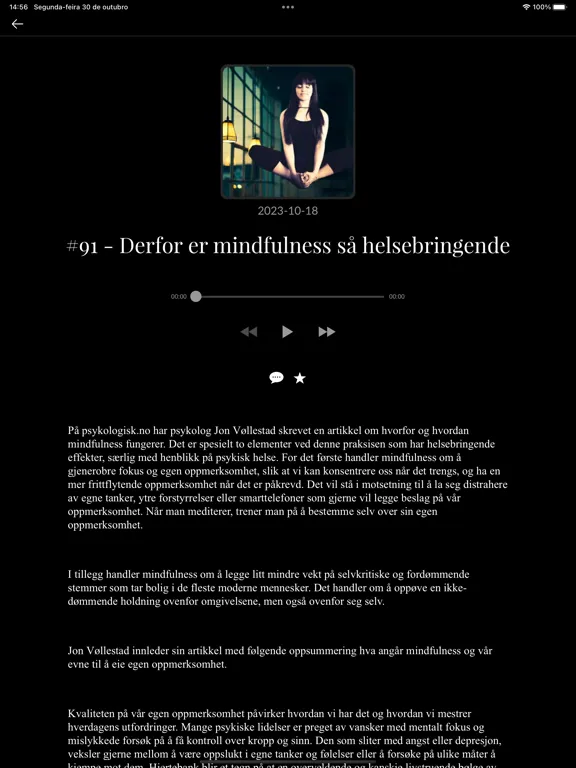 ภาพหน้าจอของ SinnSyn Bedrift iPad 