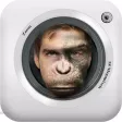 MonkeyBooth - Morphing faces into an ape, monkey or chimp MonkeyBooth - Morphing faces into an ape, monkey or chimp
