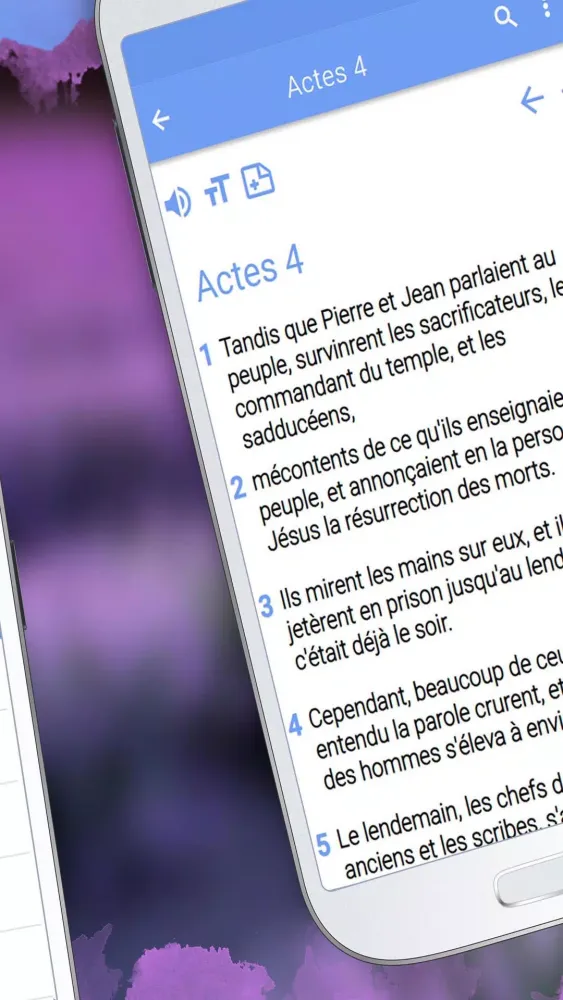 Nouveau Testament de la Bible应用截图
