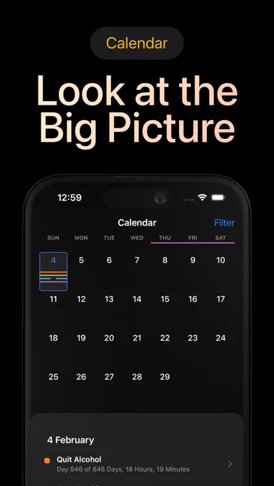 تصاویر Days Since: Quit Habit Tracker