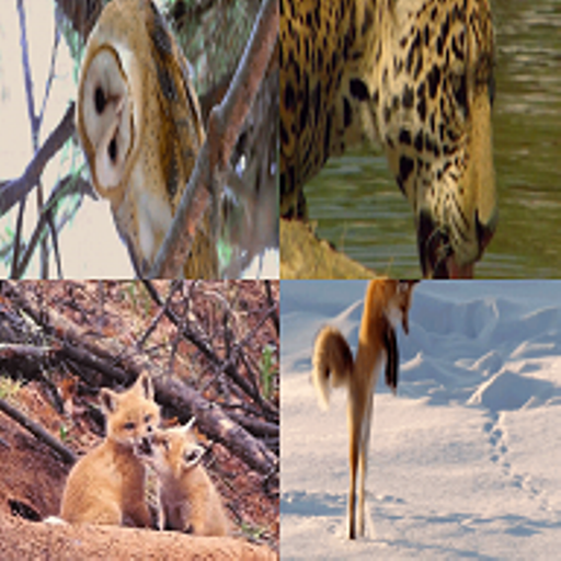 Animals two