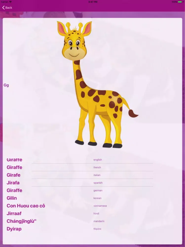 Bright Learners App iPad  스크린샷