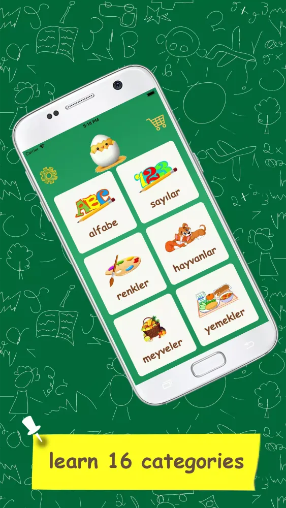 Learn Turkish Vocabulary - Kid应用截图