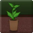 Jumpy Plant