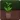 Jumpy Plant