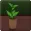 Jumpy Plant