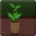 Jumpy Plant