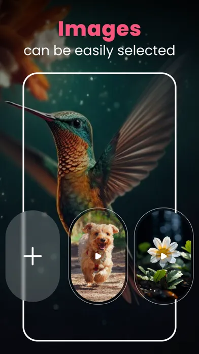 صور AI Video : Text to Video Maker