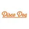 Disco Dog