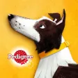 A Dog’s Story A Dog’s Story
