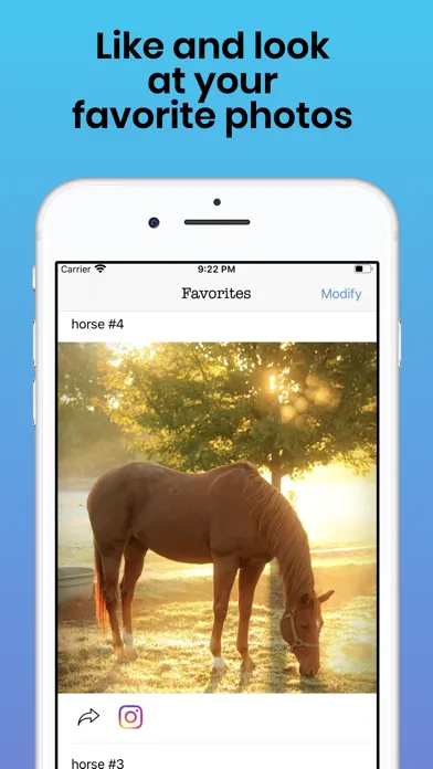 صور Horses Photos