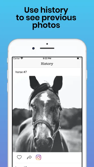 صور Horses Photos