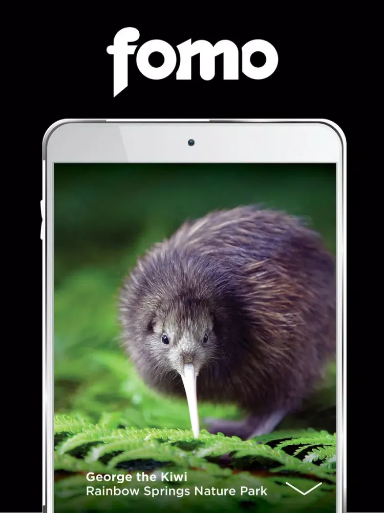 FOMO Guide Rotorua iPad  سکرین شاٹس