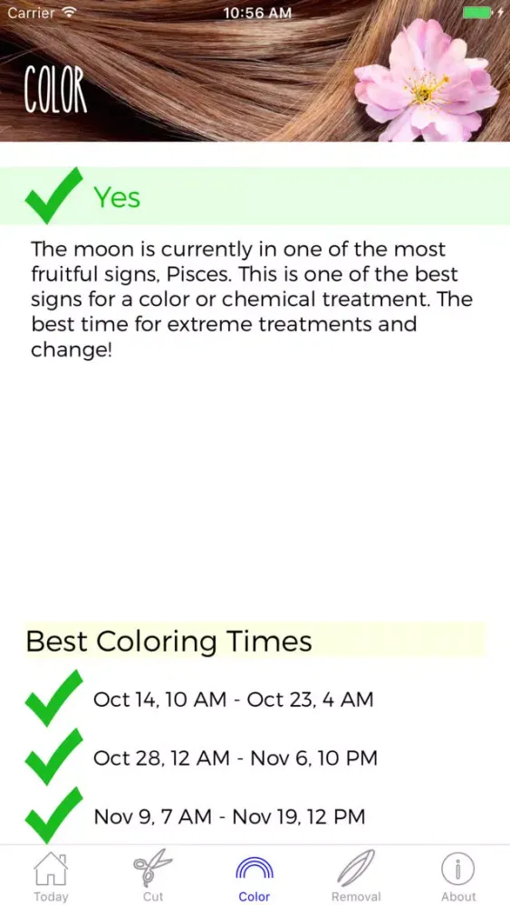Zrzuty ekranu Hair Astrology Professional