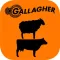 Gallagher Animal Dashboard