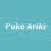 Puke Ariki Libraries