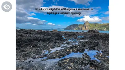 Te Ara a Tāwhaki Screenshots