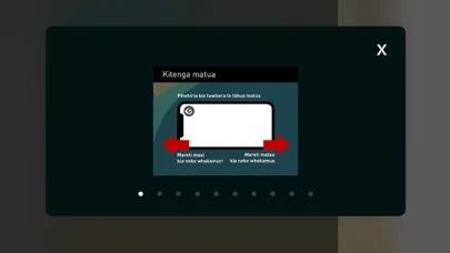 Ngā Ingoa Tūpuna应用截图
