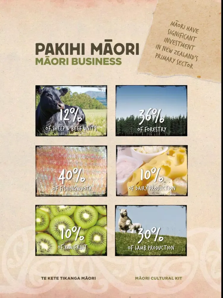 تصاویر Te Kete Maori iPad 