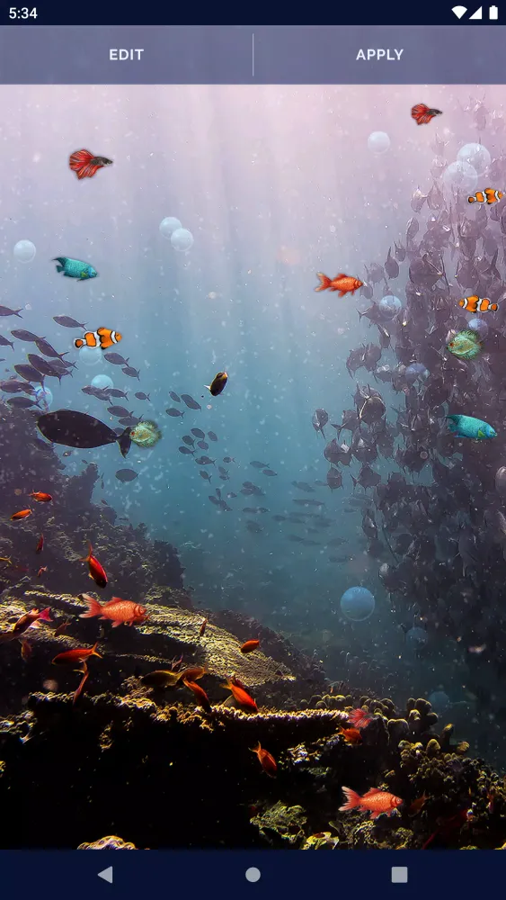 Capturas de tela do Ocean Fish Live Wallpaper 4K