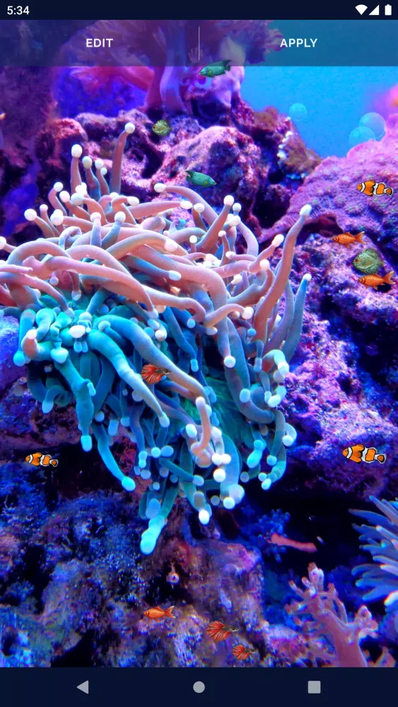 Capturas de tela do Ocean Fish Live Wallpaper 4K