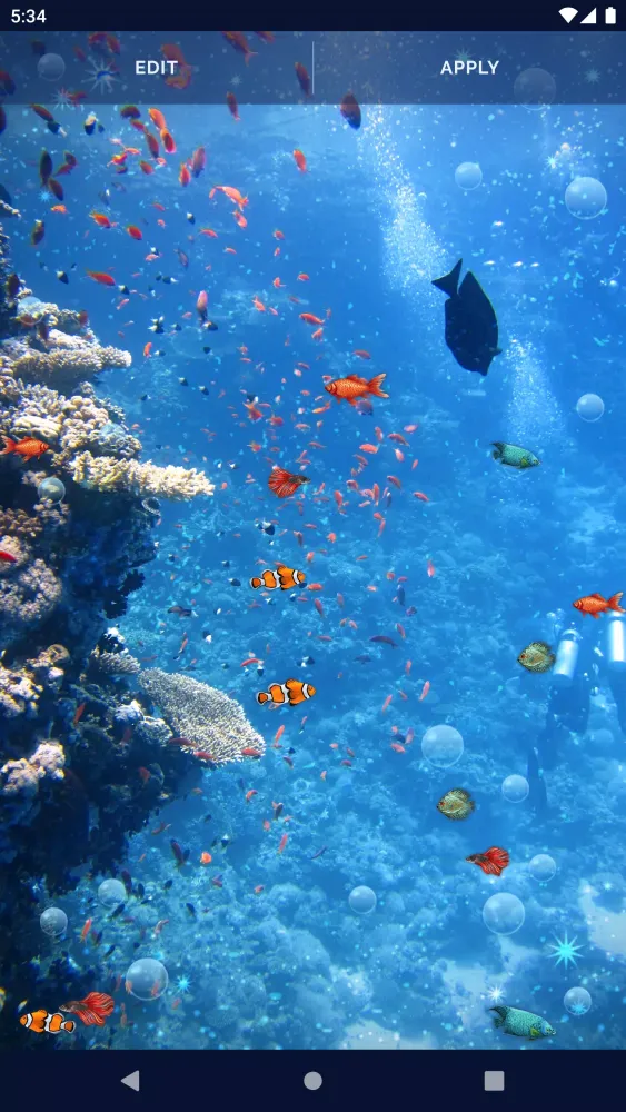 Capturas de tela do Ocean Fish Live Wallpaper 4K