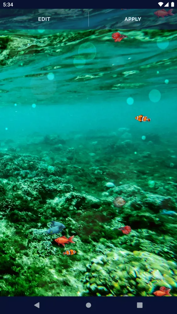 Capturas de tela do Ocean Fish Live Wallpaper 4K
