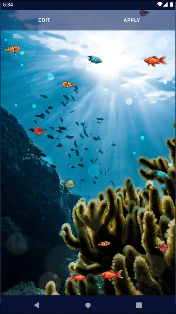 Capturas de tela do Ocean Fish Live Wallpaper 4K