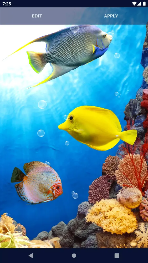 Fish Ocean Live Wallpaper Screenshots