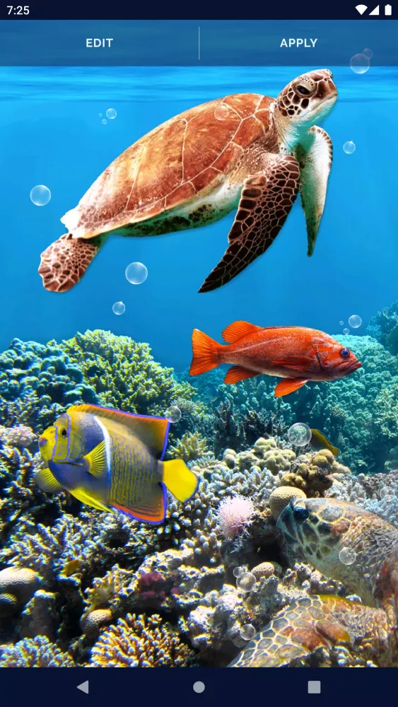 Fish Ocean Live Wallpaper Screenshots