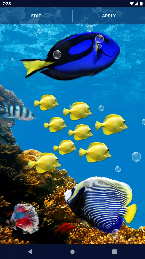 Fish Ocean Live Wallpaper Screenshots