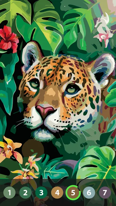 Oil Painting Paint by Number Ekran Görüntüleri