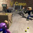 V Canon