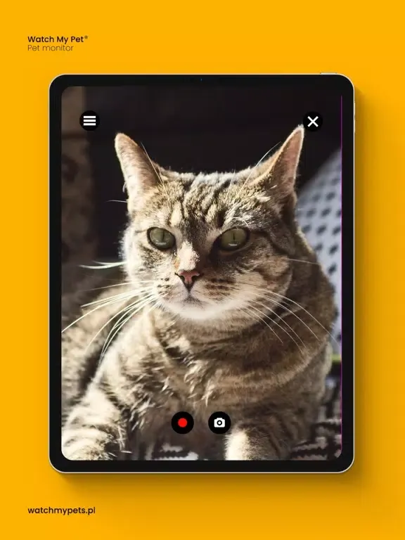 Watch My Pet - Pet Monitor iPad 應用截圖