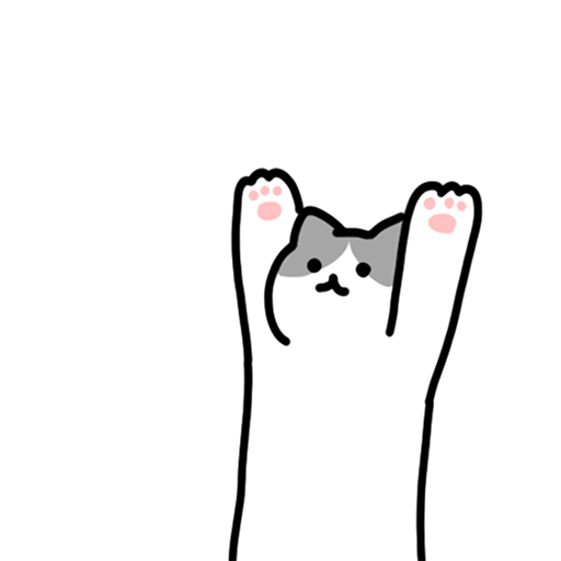 Air Kitty Air Kitty