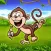 Monkey Studies English