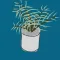 Water The Plants